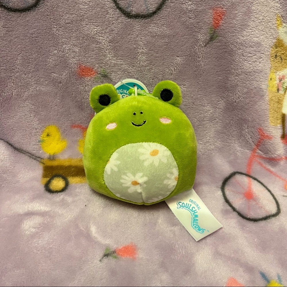 Squishmallow Wendy 🐸 NWT